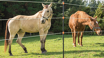 EquiFence voor paarden