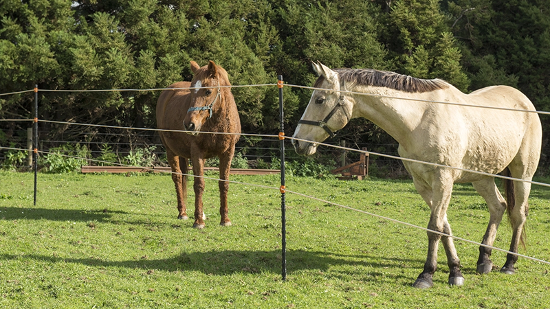 Geleiders voor paardenafrastering