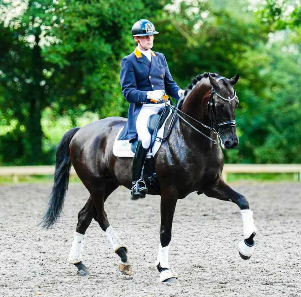 Drainage voor de paardenbak